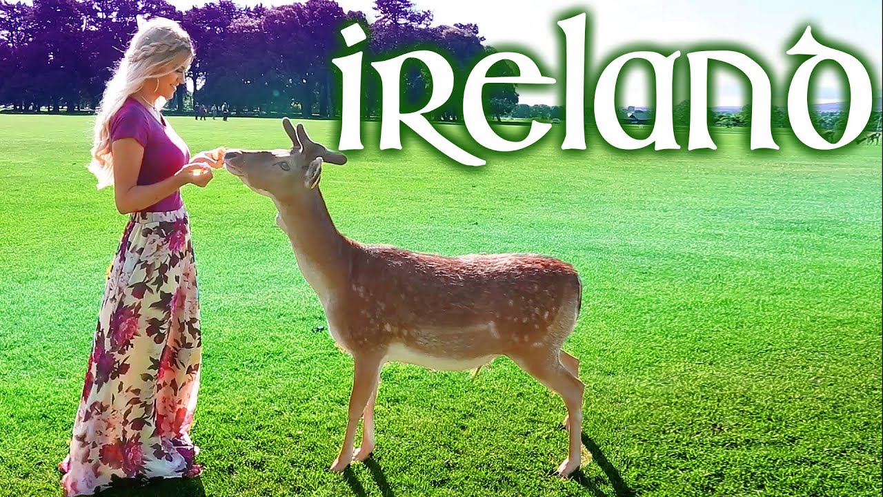 Ultimate IRELAND Travel Guide, WOW! Plus, SECRET Things to do on Vacation... Don't tell anyone!