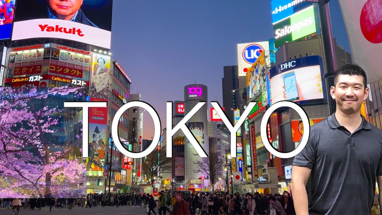 Tokyo Travel Guide 2023 Area Guide, Things to do, Itinerary